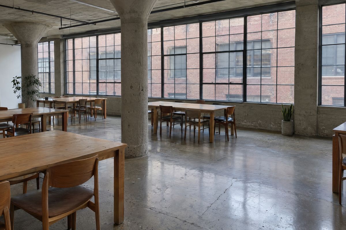 Open office in an old concrete industrial building with a low-sheen polished concrete floor, flared concrete columns, steel windows and plain wooden tables.